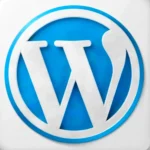 wordpress tool used by Best Digital Marketing Analyst in Riyadh